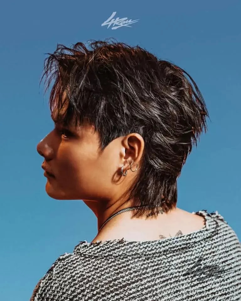 Mullet Middle Part - mẫu 5